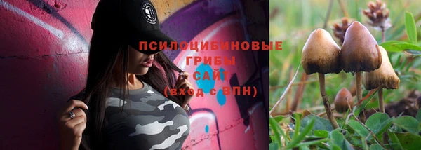 гидра Алексеевка