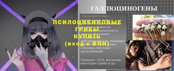 гидра Алексеевка